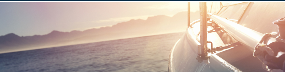 banner-vision